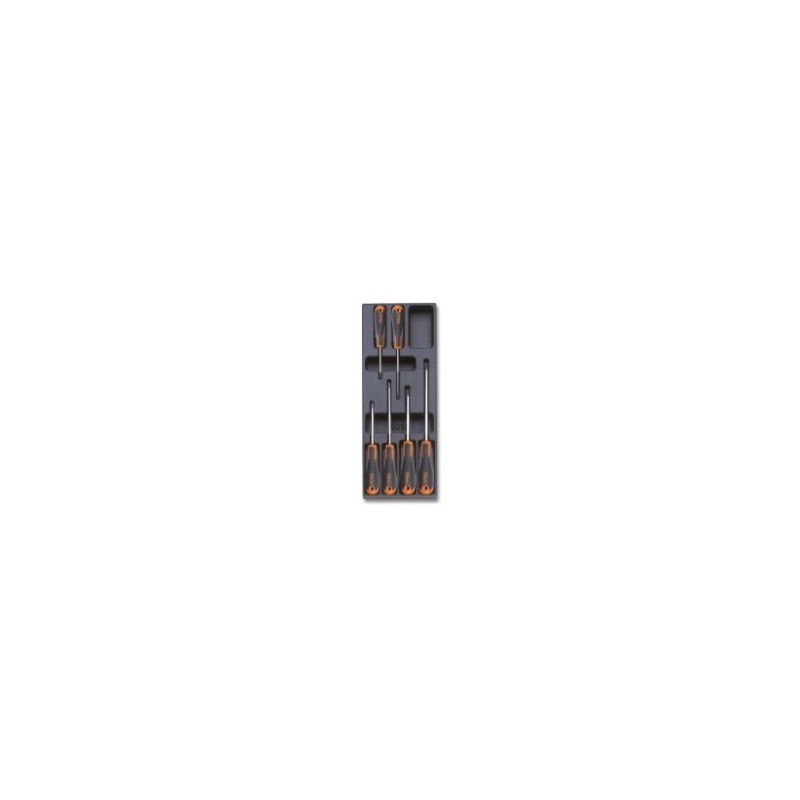 T213 Termoformado rígido con destornilladores Phillips&reg,, BetaEvox