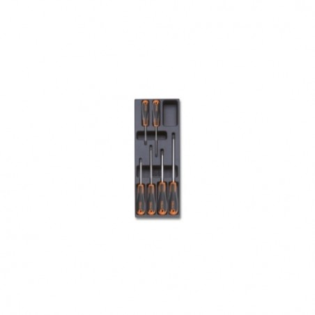 T213 Termoformado rígido con destornilladores Phillips&reg,, BetaEvox