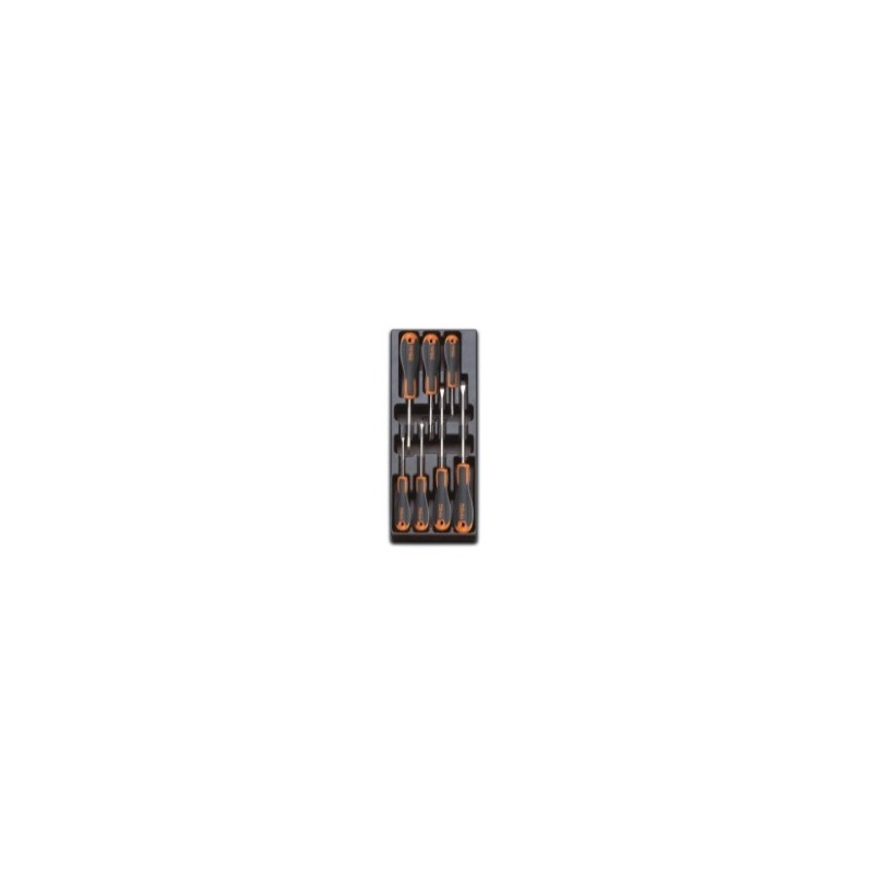 T221 Termoformado rígido con destornilladores planos y Phillips&reg,, BetaEvox