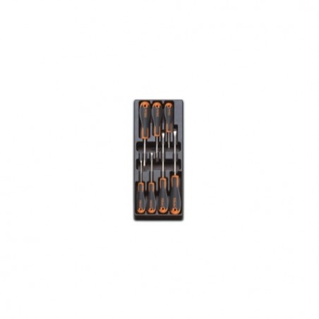 T221 Termoformado rígido con destornilladores planos y Phillips&reg,, BetaEvox