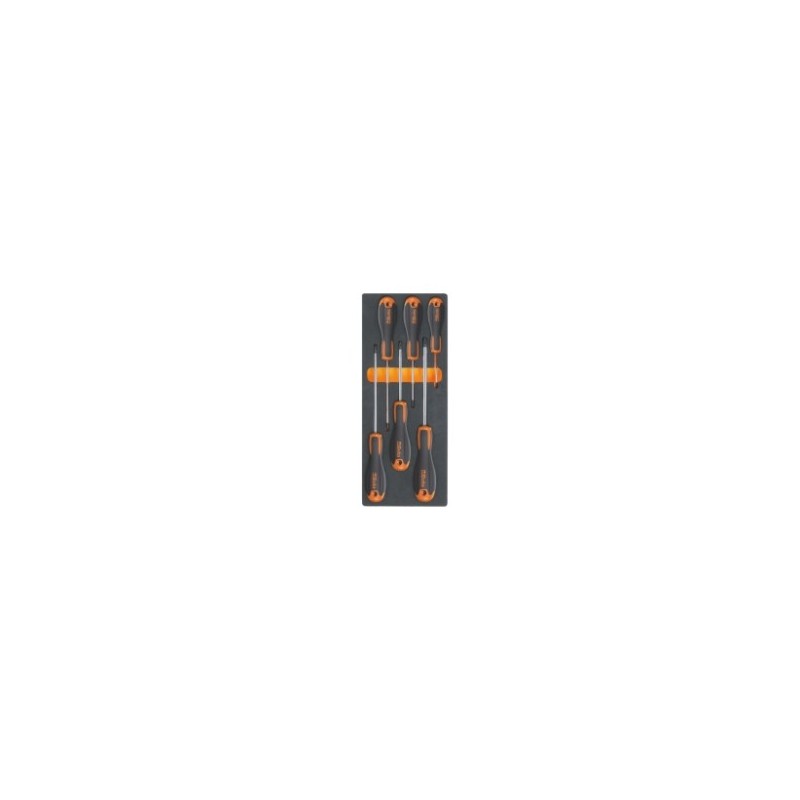 M216 Termoformado de espuma con destornilladores Phillips&reg,, BetaEvox