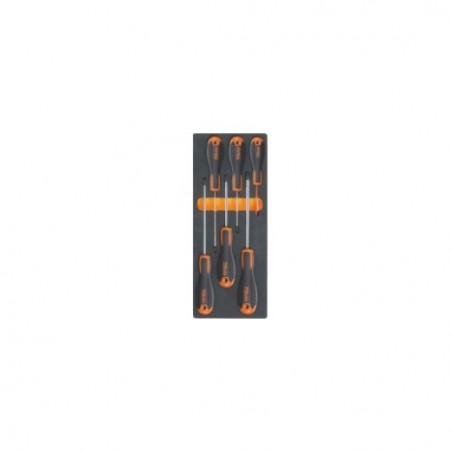 M216 Termoformado de espuma con destornilladores Phillips&reg,, BetaEvox