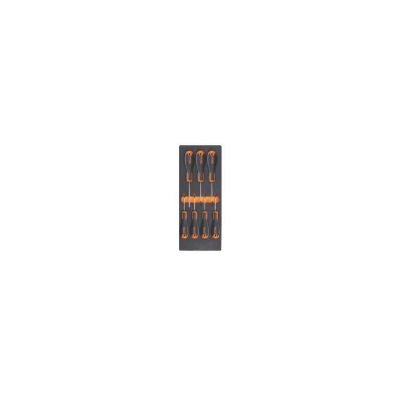 M217 Termoformado de espuma con destornilladores Torx&reg,, BetaEvox
