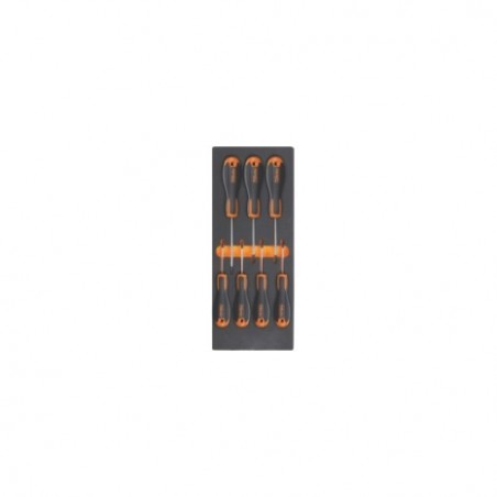 M217 Termoformado de espuma con destornilladores Torx&reg,, BetaEvox