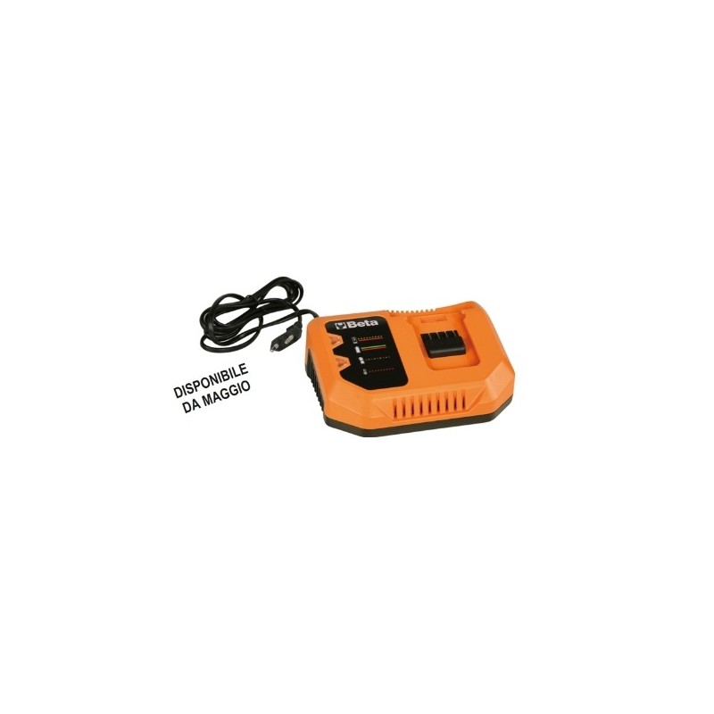 1994C 20V Cargador rápido de batería de 12 V, 110 V-240 V
