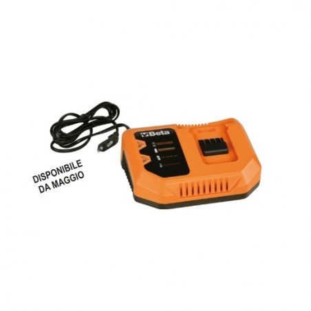 1994C 20V Cargador rápido de batería de 12 V, 110 V-240 V