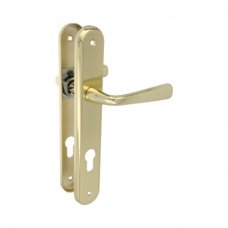 AMIG 11862  
 Manilla con placa 252PB85  
 250 x 40 mm  
 Acero  
 Latonado barnizado