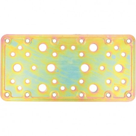 AMIG 12124  
 Placa 503  
 200 x 100 x 2,8 mm  
 Acero  
 Bicromatado