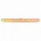 AMIG 12130  
 Placa 505  
 206 x 20 x 2,5 mm  
 Acero  
 Bicromatado