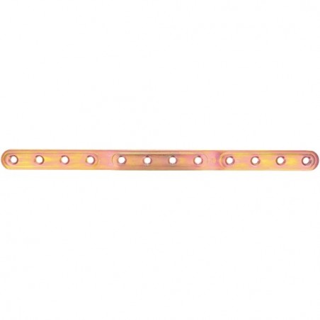 AMIG 12131  
 Placa 505  
 312 x 20 x 2,5 mm  
 Acero  
 Bicromatado