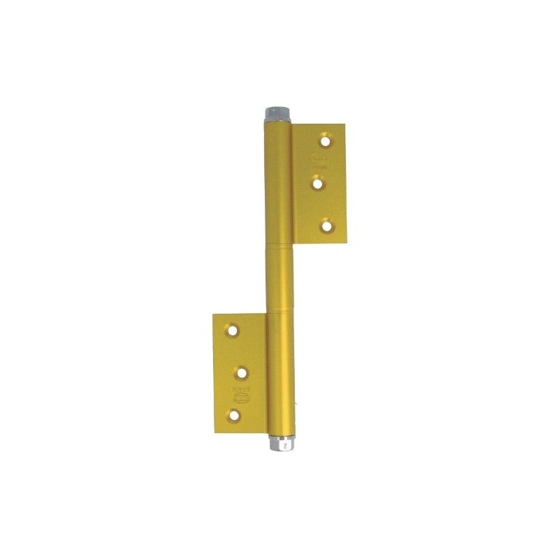 AMIG 12329  
 Pernio muelle 100  
 180 x 80 x 3 mm  
 Aluminio  
 Oro