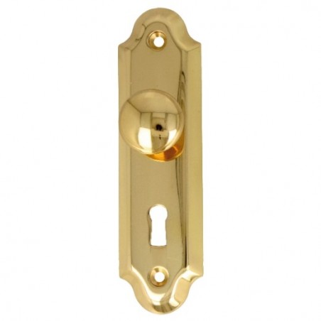AMIG 12338  
 Escudo tirador 25  
 125 x 34 mm  
 Latón  
 Pulido