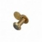 AMIG 1237  
 Mirilla para puerta 3  
 Ø14 35-60 mm  
 Latón  
 Pulido