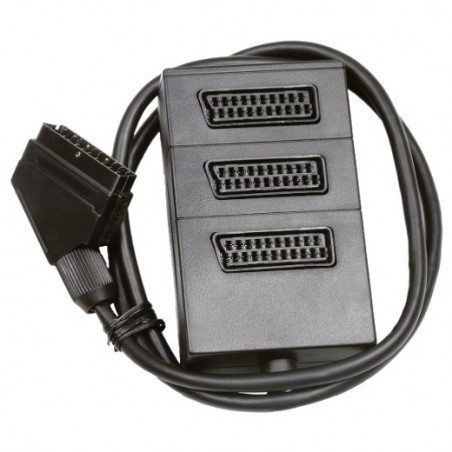 AMIG 12431  
 Euroconector 3114  
 1,5 m  
 Poliestireno  
 Negro