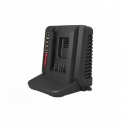 Cargador de 60V 5A