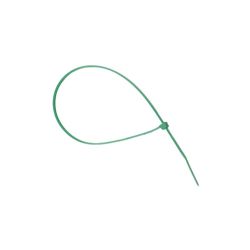 AMIG 12459  
 Brida 3400  
 2,5 x 100 mm  
 Poliamida  
 Verde