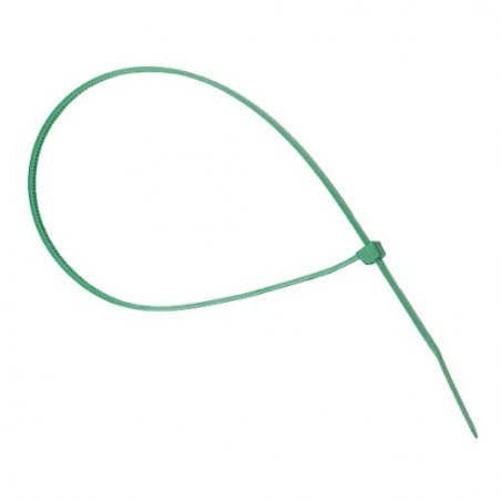 AMIG 12459  
 Brida 3400  
 2,5 x 100 mm  
 Poliamida  
 Verde