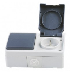 AMIG 12510  
 Interruptor + base NF 3620  
 Gris