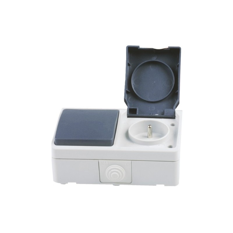 AMIG 12510  
 Interruptor + base NF 3620  
 Gris