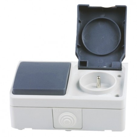 AMIG 12510  
 Interruptor + base NF 3620  
 Gris