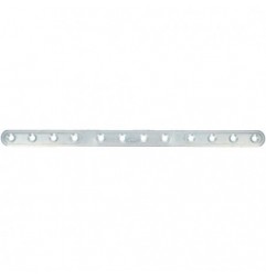 AMIG 14119  
 Placa 505  
 312 x 20 x 2,5 mm  
 Acero  
 Zincado
