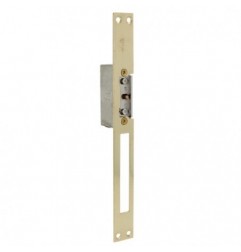 AMIG 14476  
 Cerradero eléctrico 20  
 250 x 25 x 3 mm  
 Acero  
 Latonado barnizado