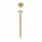 AMIG 16653  
 Tirafondo cabeza alomada  
 Ø4 x 40 mm  
 Acero  
 Latonado