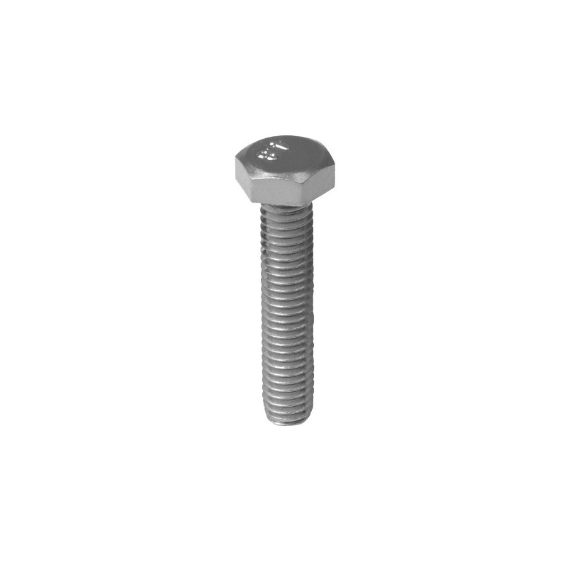 AMIG 16689   Tornillo cabeza hexagonal DIN 933   M8 x 100 mm   Acero   Zincado