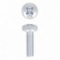 AMIG 16702   Tornillo cabeza cilíndrica   M3 x 10 mm   Acero   Zincado