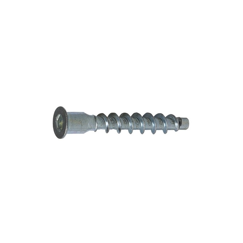 AMIG 16801  
 Tornillo ensamblaje + llave allen  
 M5 x 50 mm  
 Acero  
 Zincado