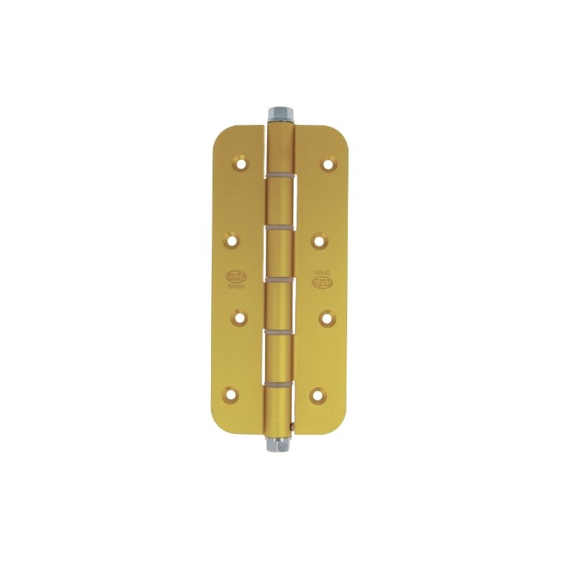 AMIG 17422  
 Bisagra simple acción 3034R  
 180 x 80 x 4 mm  
 Aluminio  
 Oro