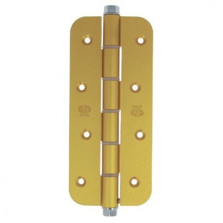 AMIG 17422  
 Bisagra simple acción 3034R  
 180 x 80 x 4 mm  
 Aluminio  
 Oro