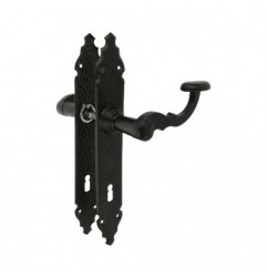 AMIG 17432  
 Manilla con placa 100PG  
 280 x 44 mm  
 Placa de acero, Tirador de zamak  
 Negro