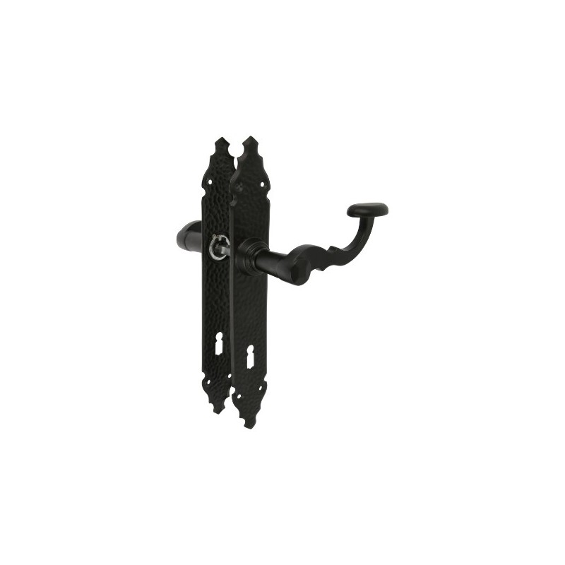 AMIG 17432  
 Manilla con placa 100PG  
 280 x 44 mm  
 Placa de acero, Tirador de zamak  
 Negro