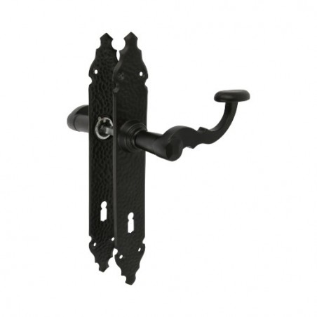 AMIG 17432  
 Manilla con placa 100PG  
 280 x 44 mm  
 Placa de acero, Tirador de zamak  
 Negro