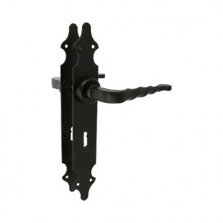 AMIG 17437  
 Manilla con placa 101PG  
 280 x 44 mm  
 Placa de acero, Tirador de zamak  
 Negro