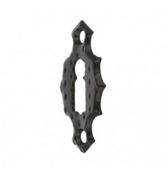 AMIG 17593  
 Bocallave 15  
 60 x 34 mm  
 Acero  
 Negro