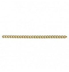 AMIG 19121  
 Cadena decoración Panzer 30235  
 Ø2 X 11 mm  
 Acero  
 Latonado