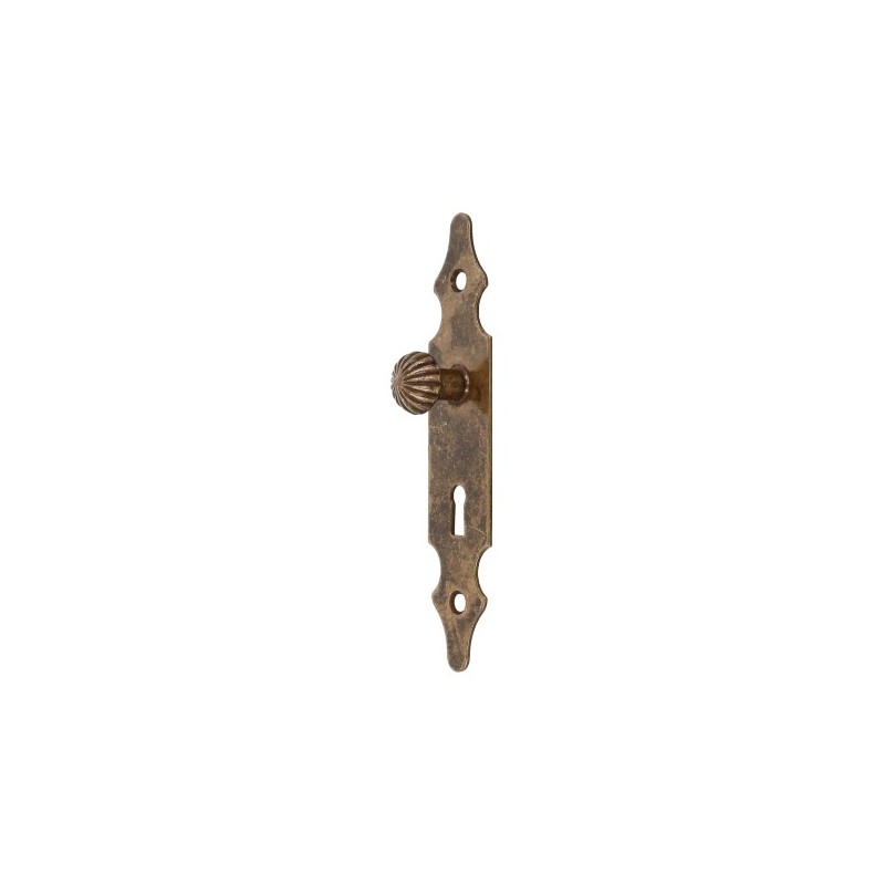 AMIG 19220  
 Escudo tirador con bocallave 102  
 146 x 30 mm  
 Acero  
 Cuero