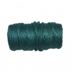 AMIG 19315  
 Hilo de rafia 20170  
 Ø3 mm  
 Polipropileno  
 Verde