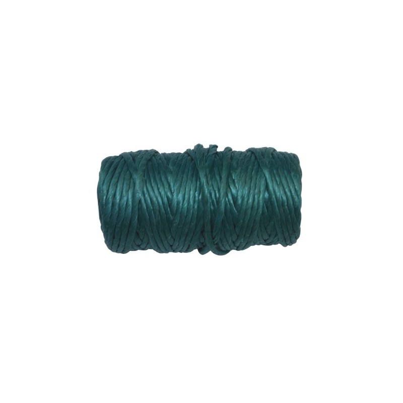AMIG 19315  
 Hilo de rafia 20170  
 Ø3 mm  
 Polipropileno  
 Verde