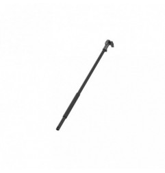 Pértiga extensible