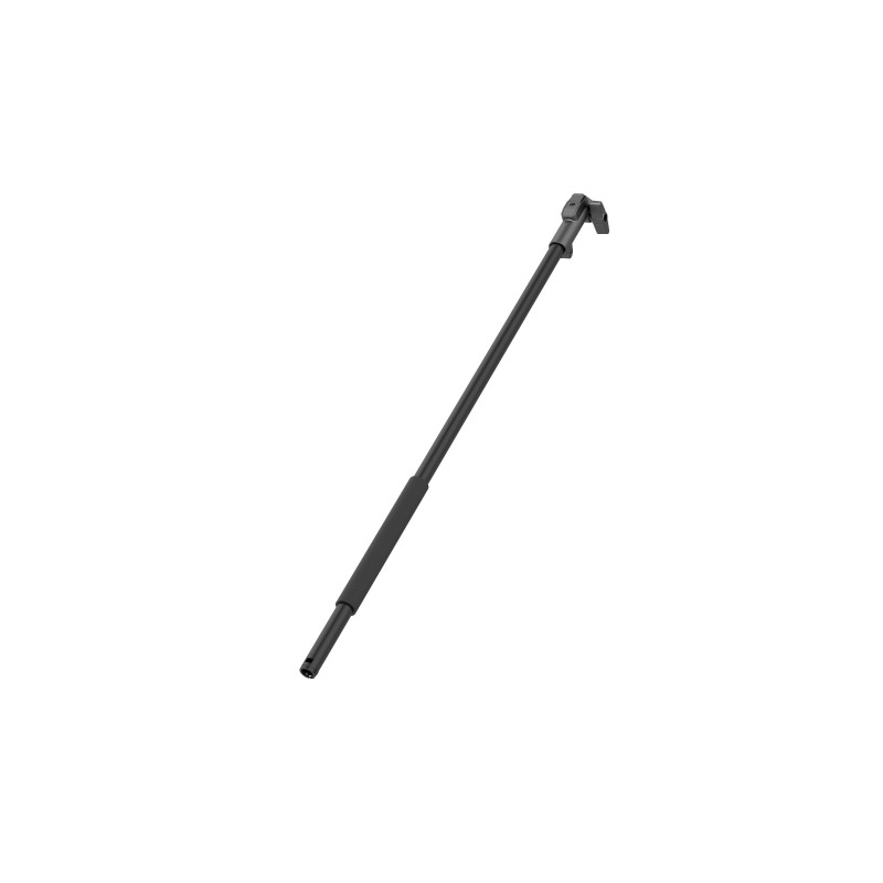 Pértiga extensible