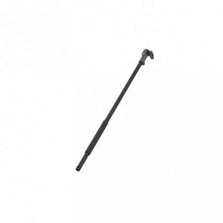 Pértiga extensible