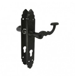 AMIG 20151  
 Manilla con placa 100PEB AT  
 280 x 45 mm  
 Placa de acero, Tirador de zamak  
 Negro