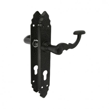 AMIG 20151  
 Manilla con placa 100PEB AT  
 280 x 45 mm  
 Placa de acero, Tirador de zamak  
 Negro
