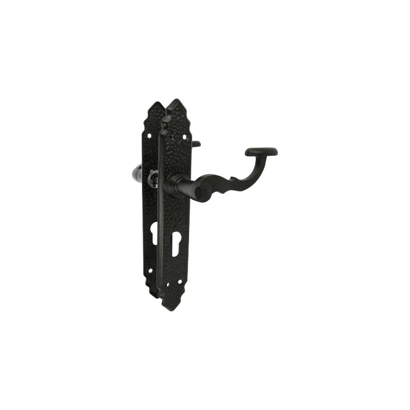 AMIG 20152  
 Manilla con placa 100PEB AT  
 280 x 45 mm  
 Placa de acero, Tirador de zamak  
 Negro