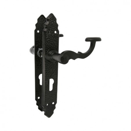 AMIG 20152  
 Manilla con placa 100PEB AT  
 280 x 45 mm  
 Placa de acero, Tirador de zamak  
 Negro