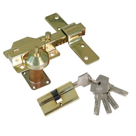 AMIG 20913  
 Kit cerrojo + cilindro 1  
 88 x 153 mm  
 Acero  
 Oro
