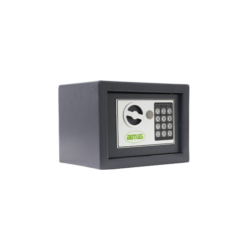 AMIG 21060   Caja fuerte TENAZ   310 x 200 x 200 mm   Acero   Gris